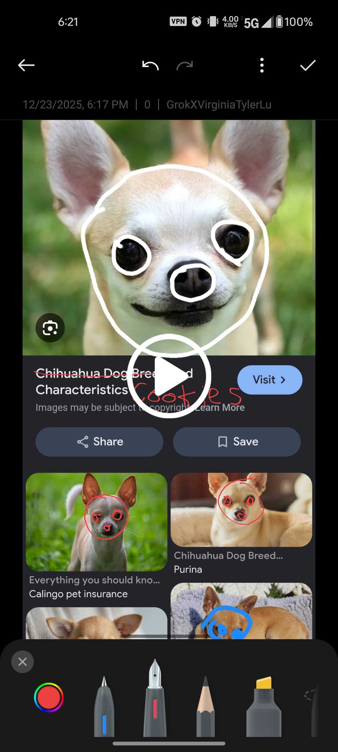 Make your own video with Grok Imagine